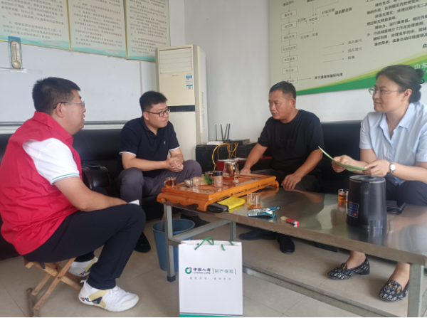 如何选择股票技巧 中国人寿财险山东省东营市中心支公司赋能特色养殖业发展——广饶县鸭子保险“顶呱呱”